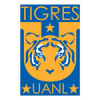 Tigres (11)