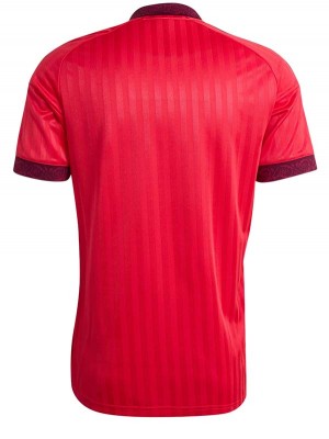 Olympique Lyon away jersey 2026-2027