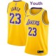 Youth LeBron James 23 Los Angeles Lakers CHildren NBA Swingman Basketball Jersey Kids Gold Icon Edition