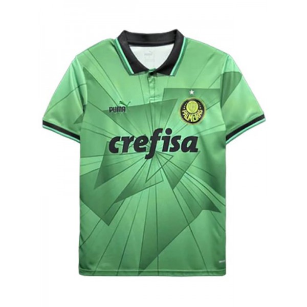 Palmeiras special edition jersey green soccer uniform men's sports football kit top shirt 2023-2024