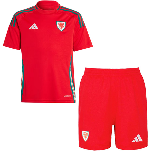 Wales home kids jersey soccer kit children first football mini shirt youth uniforms Euro 2024 cup